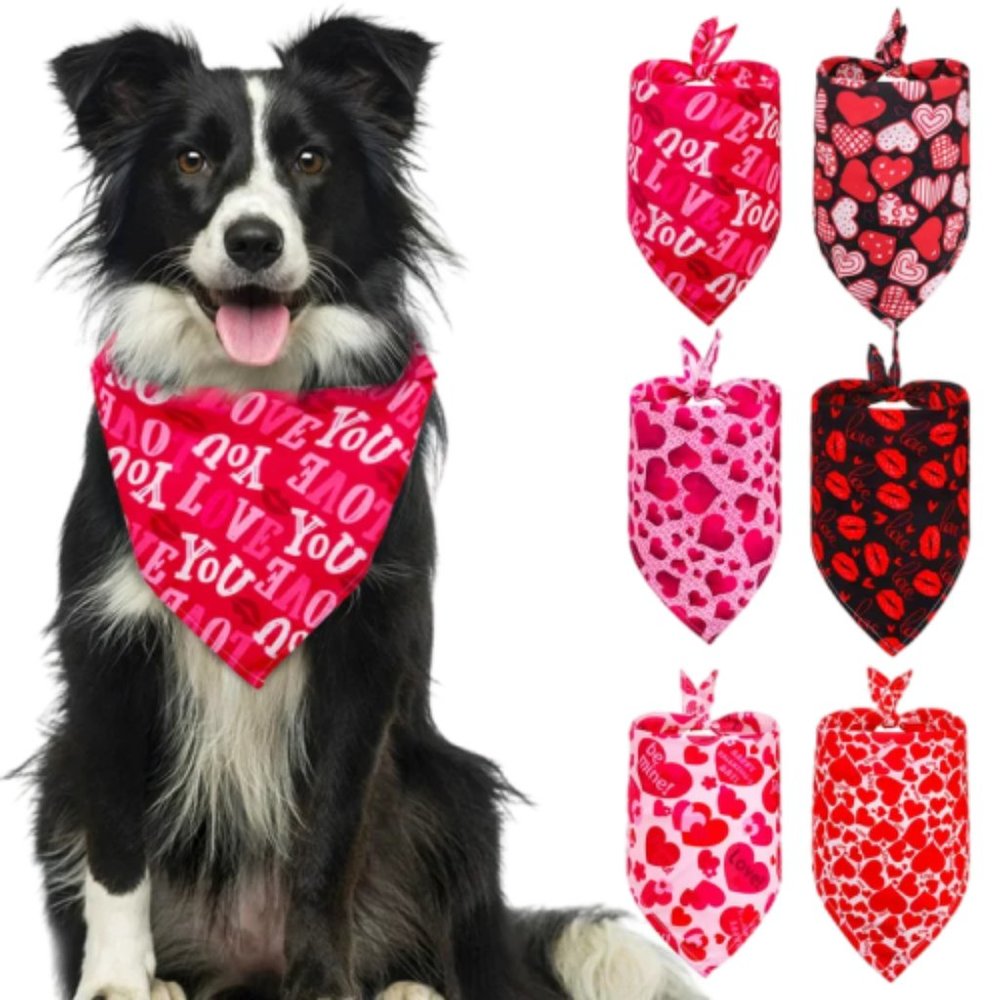 Love Bandanas for Pets